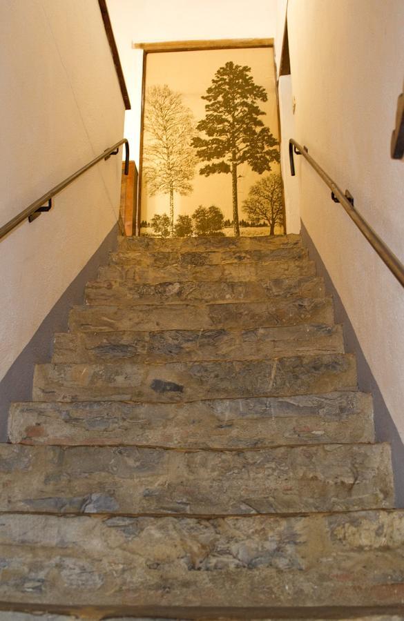 Agriturismo Santa Caterina Castelnuovo di Val di Cecina Cameră foto